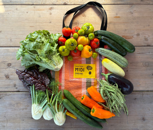 Abotasche MIDI abotasche_midi