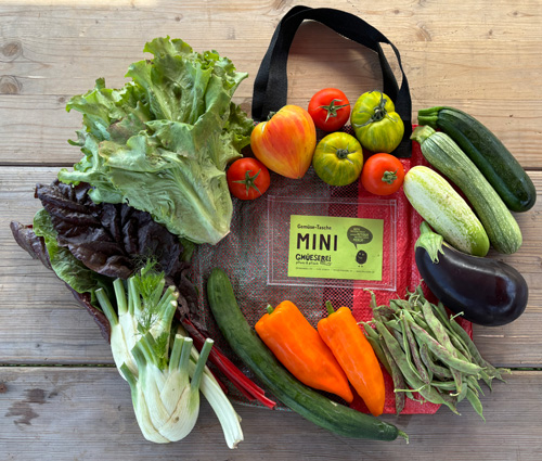 Abotasche MINI abotasche_mini